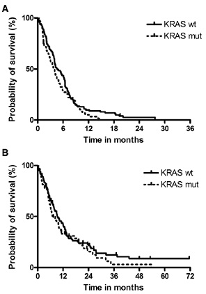 ファーストラインで白金製剤を使用する非小細胞肺癌において、KRAS遺伝子変異は予後不良因子ではない_e0156318_1536783.jpg
