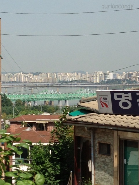 b0028524_12125086.jpg