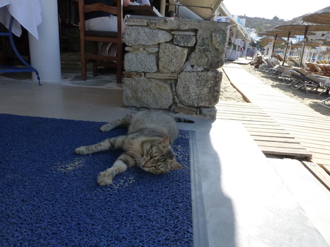 ギリシャ ミコノス島4日目-1_e0237625_224831100.jpg