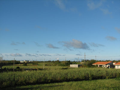 b0080027_14364570.jpg