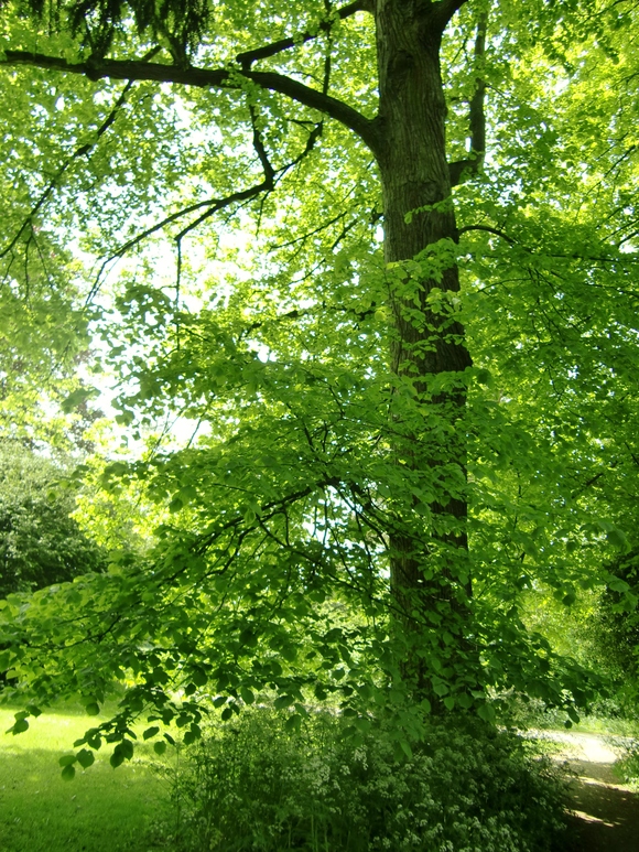 c0139629_11305881.jpg