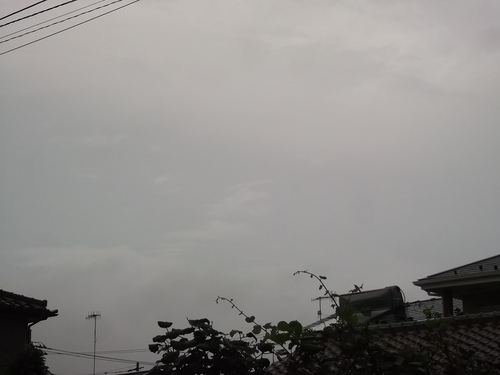 夜明けは...稲光と雷で!_b0137932_5542219.jpg