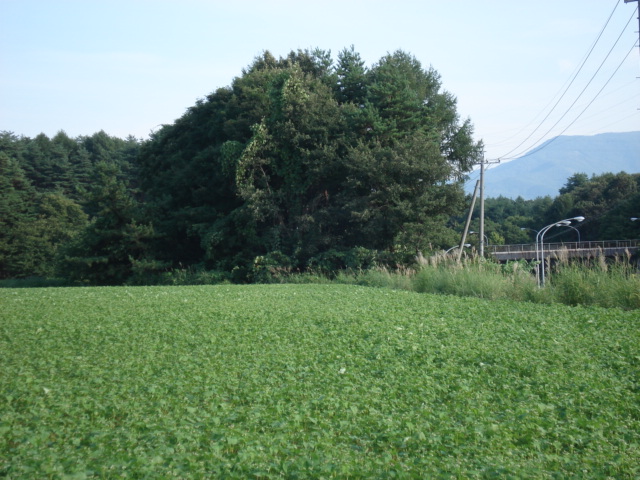 b0297741_1344639.jpg