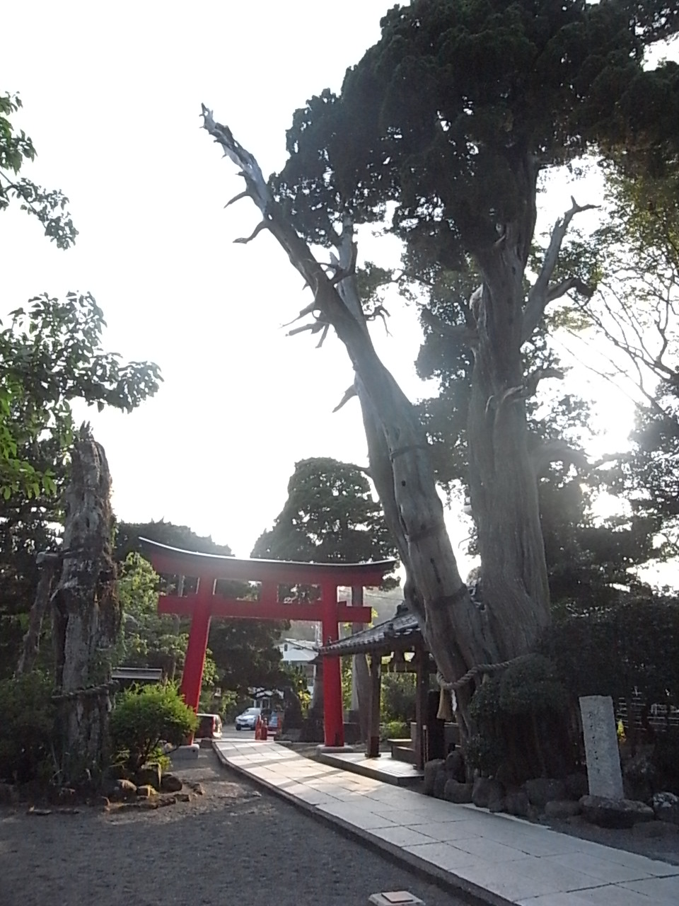 日本の夏休み　伊豆編（１）白浜神社_c0181142_61689.jpg