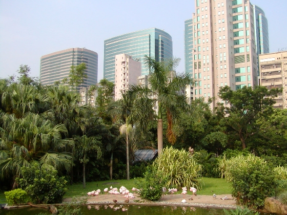e0248743_7163870.jpg
