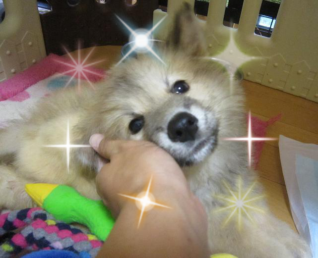 c0264744_1542516.png