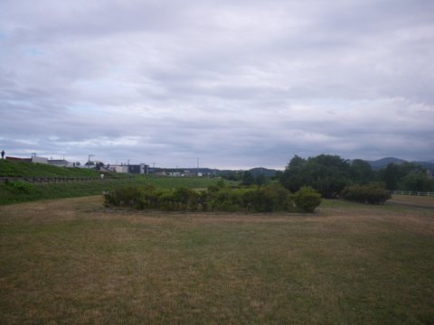 f0046250_1173733.jpg