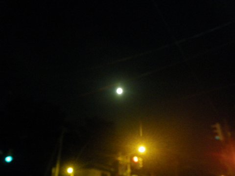 f0046250_1255233.jpg