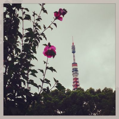 東京タワー_c0226151_20552269.jpg