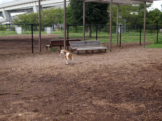 c0299657_13305044.jpg