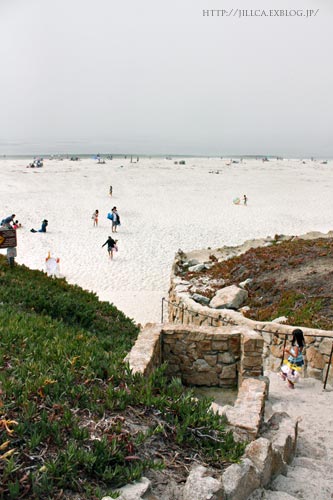 c0308559_459111.jpg
