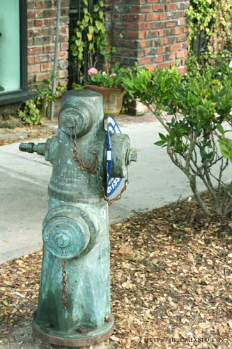 c0308559_5424983.jpg