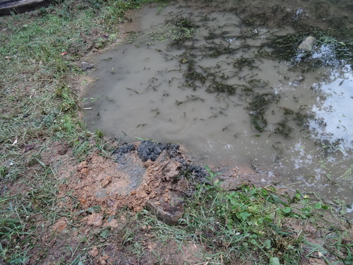 c0108460_23345892.jpg