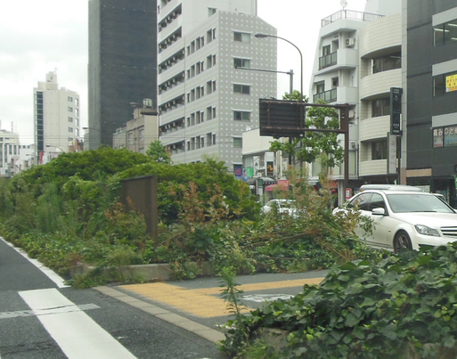 a0053063_23295598.jpg