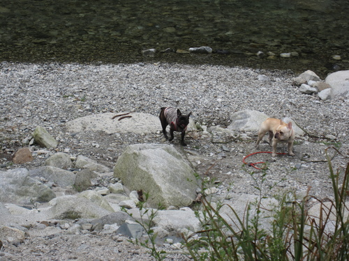 c0298565_0291550.jpg