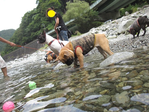 夏の締めにBBQ後編_c0298565_145362.jpg