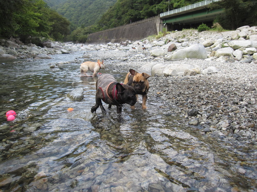 夏の締めにBBQ後編_c0298565_154433.jpg