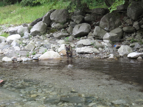 c0298565_172345.jpg