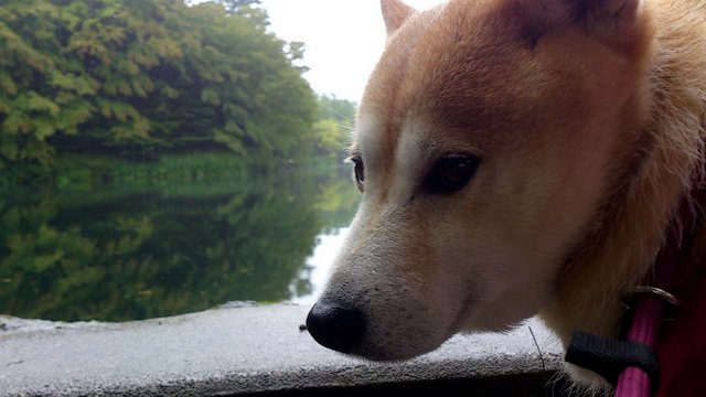 b0274270_10352881.jpg