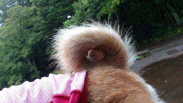 b0274270_10354921.jpg