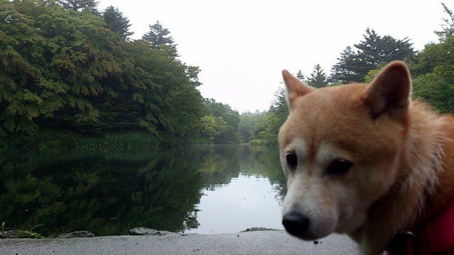 b0274270_10362191.jpg