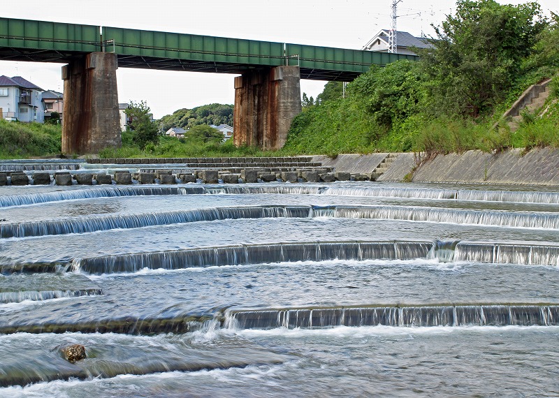 a0105680_23175197.jpg