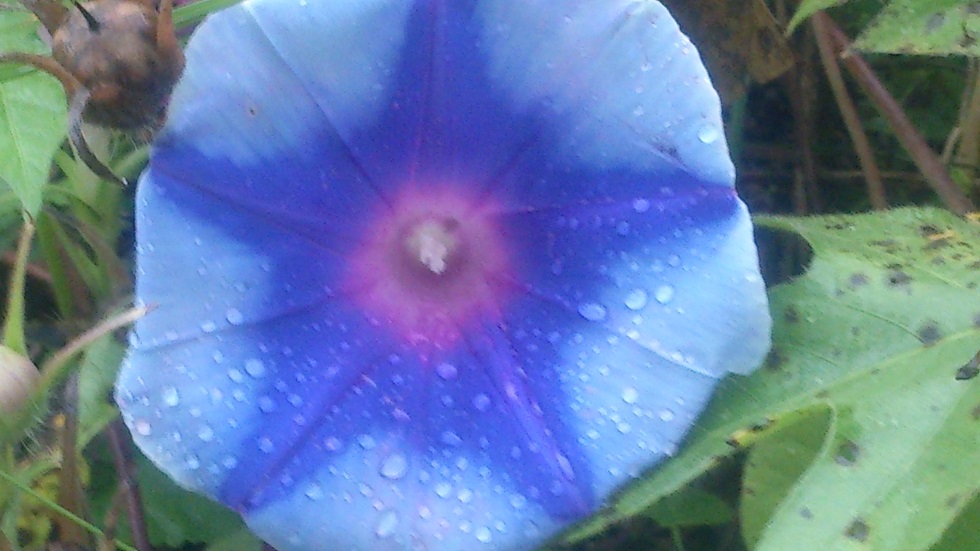 e0203580_20512146.jpg