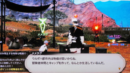 ｆｆ１４ 予約特典アイテムの受け取り方 のうきんとと