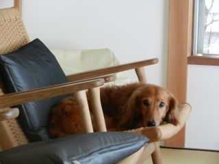 2013年9月5日 天気は雷_b0098584_911574.jpg