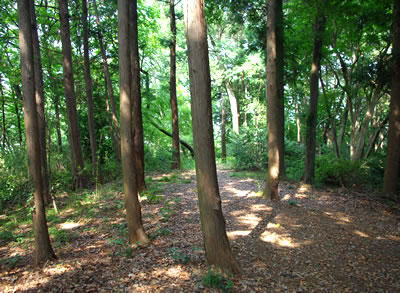 b0123486_1016537.jpg