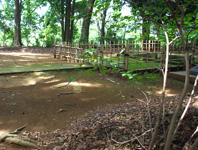 b0123486_923094.jpg