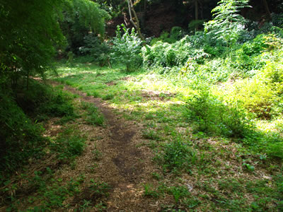 b0123486_9344866.jpg
