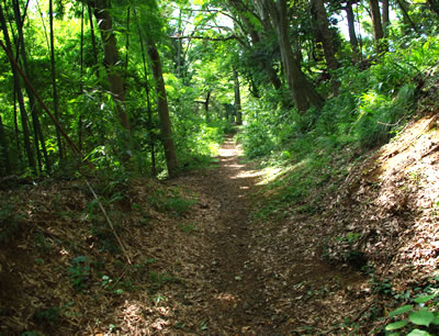 b0123486_9394469.jpg