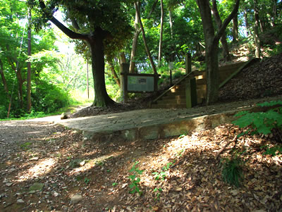 b0123486_94388.jpg