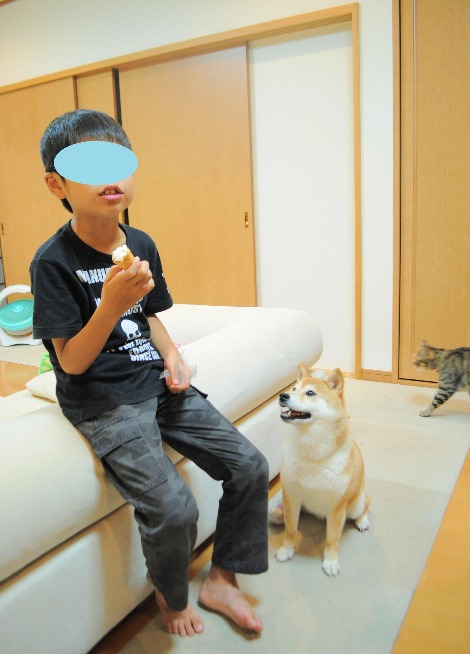 うちの子になる?_a0126590_528855.jpg