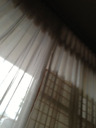c0267692_22345263.jpg