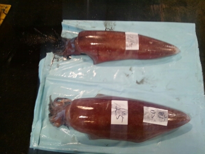 秋味♪_d0183392_649204.jpg