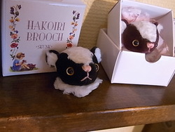 ちいさなもの展参加作家再度紹介part3_d0322493_1215668.jpg