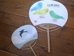 うちわ展作家紹介7.20 オクムラミチヨ新作情報_d0322493_14151297.jpg