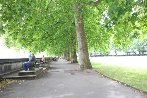 c0090198_475326.jpg