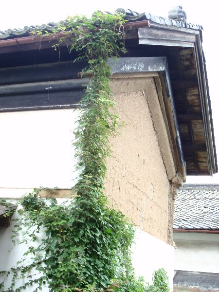 d0069498_21383719.jpg