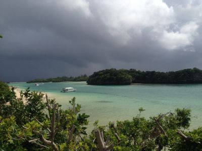 a0159009_19492046.jpg