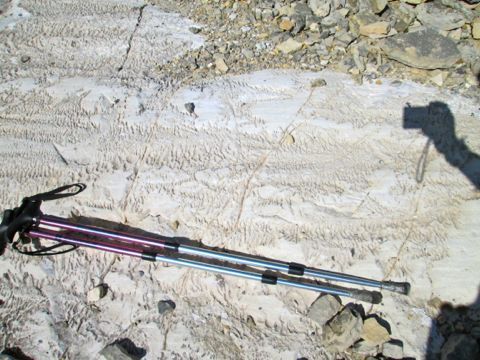 b0051109_81441.jpg