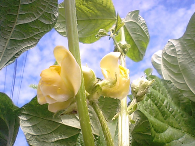 f0231709_032152.jpg