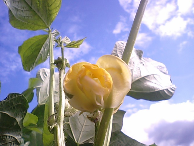 f0231709_032533.jpg