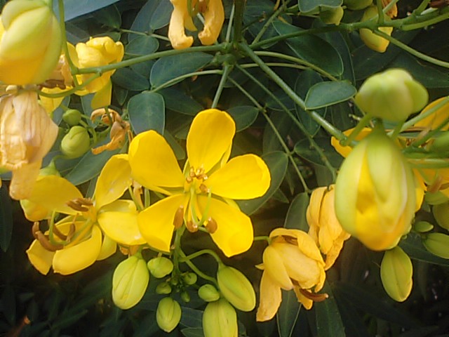 f0231709_14341854.jpg
