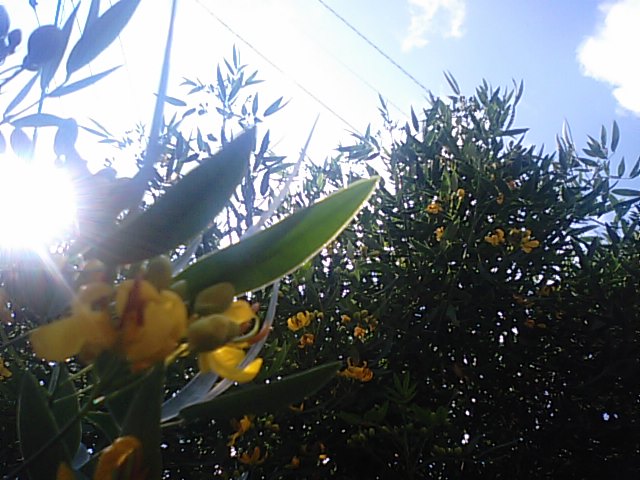 f0231709_14352728.jpg