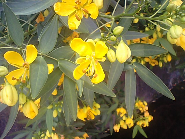 f0231709_14361055.jpg