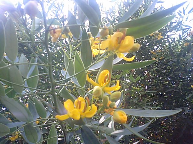 f0231709_14372110.jpg