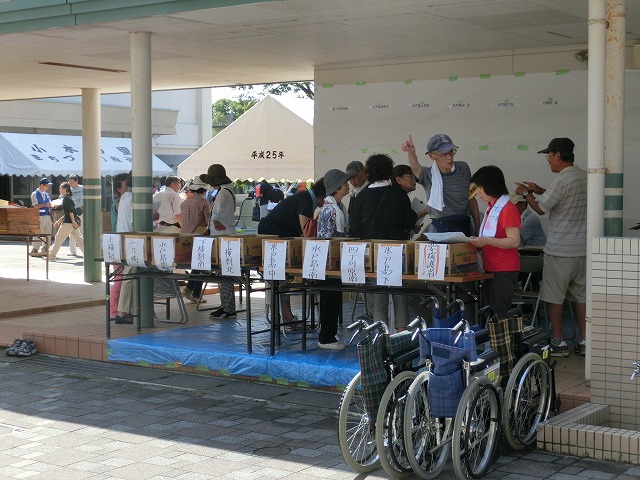 レベルが高い! 富士第二小避難所開設・運営訓練_f0141310_7363846.jpg